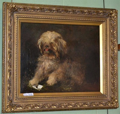 Lot 1038 - English School, 19th century, a study of a terrier, oil on canvas, in a gilt frame