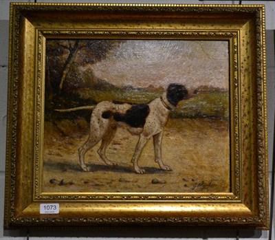 Lot 1073 - 20th century school, study of a hound, oil on board, indistinctly signed lower right