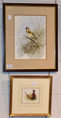 Lot 1070 - Roger Macphail, Study of a pheasant, signed with initials, lower left, Mcewan Gallery label...