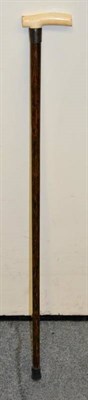 Lot 165 - A silver mounted presentation walking cane, Birmingham 1900, with ivory handle