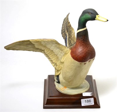 Lot 186 - Crown Staffordshire Wildfowl by Peter Scott model of ";The Mallard";, 1975, limited edition...