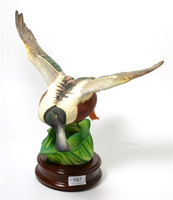 Lot 187 - Crown Staffordshire Wildfowl by Peter Scott model of ";The Shoveler";, 1977, limited edition...