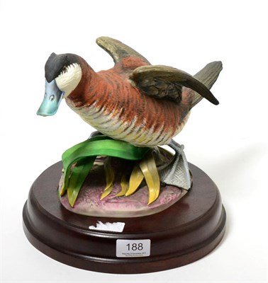 Lot 188 - Crown Staffordshire Wildfowl by Peter Scott model of ";Ruddy Duck";, 1985, limited edition 150-250