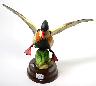 Lot 213 - Crown Staffordshire Wildfowl by Peter Scott, model of ";The Shelduck";, 1978, limited edition...