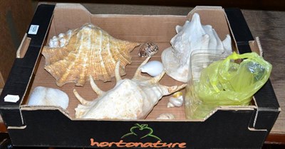 Lot 1029 - A box of shells