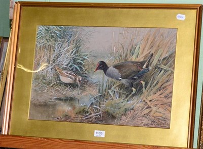 Lot 1185 - William Woodhouse, a study of water hen and snipe together with another of mallards,...