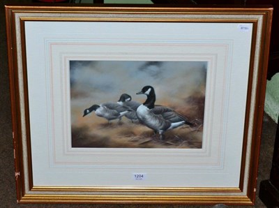 Lot 1204 - John Naylor (British, b.1960) Canadian geese, pastel, signed, 26cm by 36cm