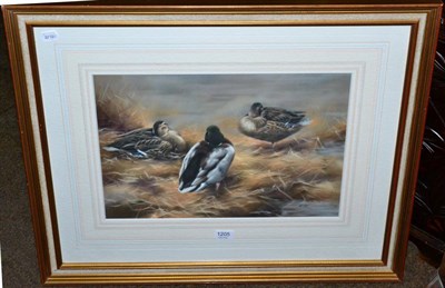 Lot 1205 - John Naylor (British, b.1960) three ducks, pastel, signed, 32cm by 48cm