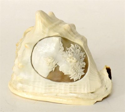 Lot 98 - Nautilus shell carved with a portrait cameo