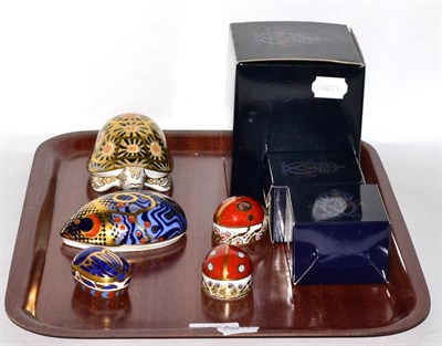 Lot 396 - Five Royal Crown Derby paperweights 'Indian Star Tortoise' (with box), two ladybird's (with boxes)