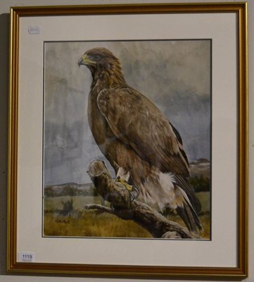 Lot 1119 - Alan Hunt, Eagle on a branch, watercolour