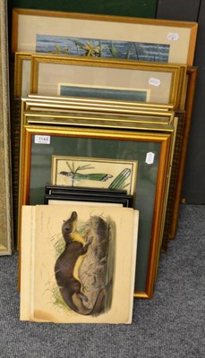 Lot 1144 - A large quantity of ornithological prints, engravings etc