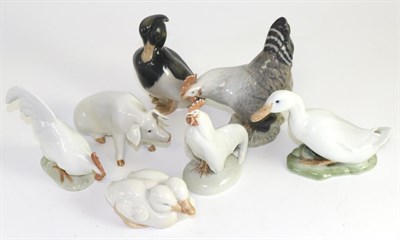 Lot 113 - A group of Royal Copenhagen models including three chickens, three ducks and a pig