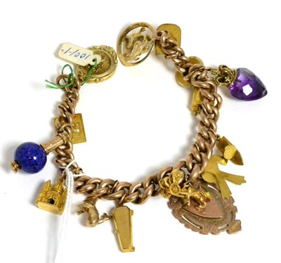 Lot 300 - A charm bracelet set with fourteen charms including an amethyst heart