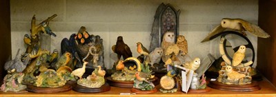 Lot 290 - Border Fine Arts Owl Models Including 'Evening Flight' together with a collection of other owl...