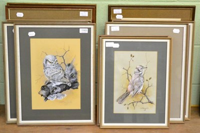 Lot 1165 - D Playford, 20th century contemporary, a set of ten watercolours depicting birds