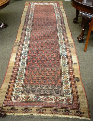 Lot 1280 - Sarab runner, Iranian Azerbaijan, the madder field of stylised boteh enclosed by triple...