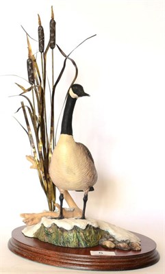 Lot 5 - Border Fine Arts 'Canada Goose', model No. L47 by Frank Falco, limited edition 151/750, signed...