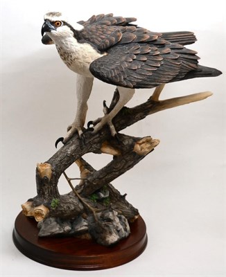 Lot 45 - Border Fine Arts 'Prince of the Loch' (Osprey), model No. B0651 by Richard Roberts, limited edition