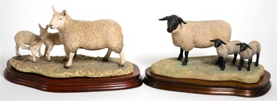Lot 53 - Border Fine Arts 'Suffolk Ewe and Lambs' (Style One), model No. L87 by Ray Ayres, limited...