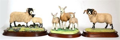 Lot 56 - Border Fine Arts 'Swaledale Tup' (The Monarch of the Dales), model No. L148 by Ray Ayres,...