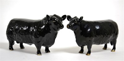 Lot 67 - Beswick Cattle Comprising: Aberdeeen Angus Bull, model No. 1562 and Aberdeen Angus Cow, model...
