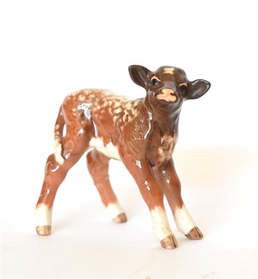 Lot 93 - Beswick Shorthorn Calf, model No. 1406C, brown and white with shading gloss (a.f.)