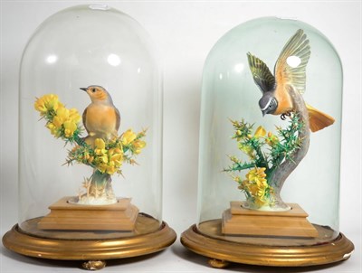 Lot 105 - Royal Worcester pair of British Bird Models by Dorothy Doughty: 'English Redstart on Gorse in...