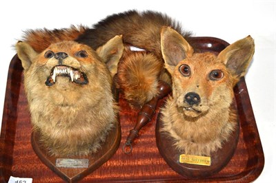 Lot 452 - Two fox masks with brushes, labelled to the plaque reverses