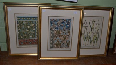 Lot 1147 - After Verneuil, three hand coloured lithographic botanical plates (3)