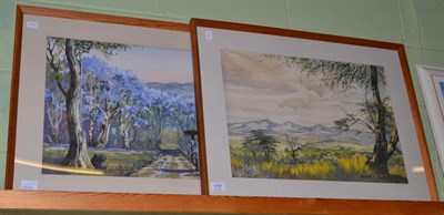 Lot 1157 - J Dawson (20th century), pair of African landscape, watercolours (2)