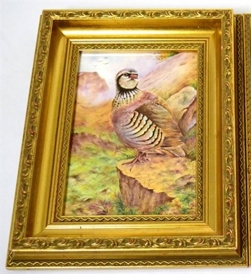 Lot 237 - A Royal Worcester plaque painted with a Partridge by Brian Cox