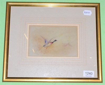 Lot 1240 - Attributed to J A Stinton, watercolour of a Mallard taking flight, signed lower left, famed and...