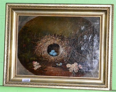 Lot 1248 - J* Burras, in the style of Cruickshank, Still life of bird's nest with a sprig of blossom,...