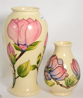 Lot 12 - Two Moorcroft Magnolia vases