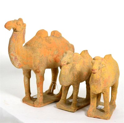 Lot 167 - A Chinese terracotta figure of a Bactrian camel, in Han dynasty style, 28cm high; and two...