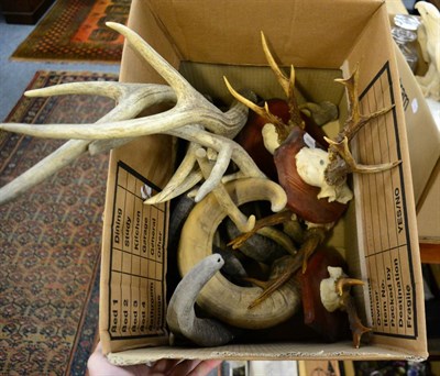 Lot 1015 - A collection of antlers