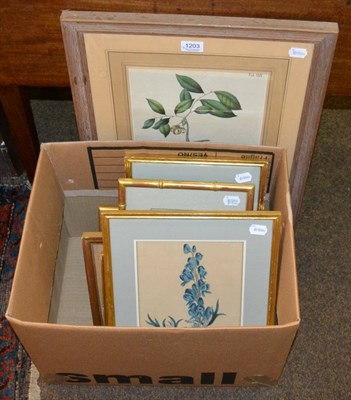 Lot 1203 - A collection of ornithological and botanical prints, 19th/20th century