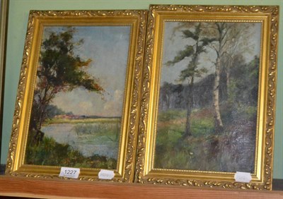 Lot 1227 - Pair of indistinctly signed oil on canvas, landscapes, one with indistinct label verso