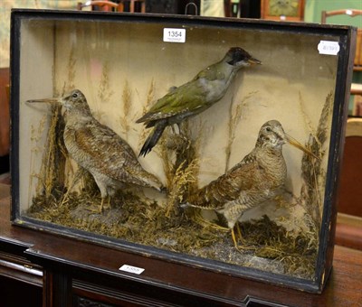 Lot 1354 - Taxidermy: Victorian case of birds, a pair of woodcock and a green woodpecker all full mounts,...