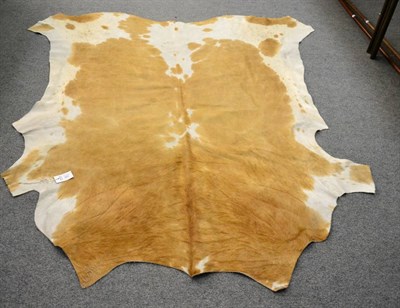 Lot 398 - Nguni cow hide (Bos taurus), modern, excellent quality AA grade caramel brown and white pied...