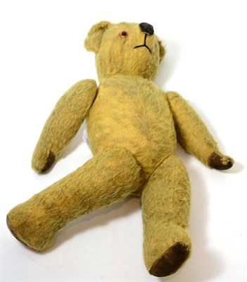 Lot 320 - A 1950's Pedigree jointed Teddy bear with squeaker