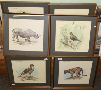 Lot 556 - After Donna Westerman, a set of six colour prints of endangered species, framed and glazed (6)