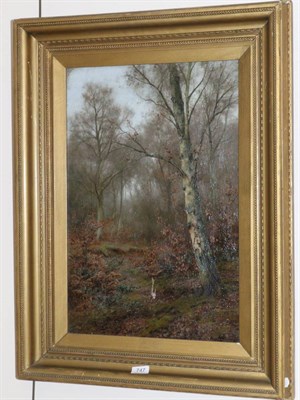 Lot 747 - Walter Boodle gilt framed oil woodland scene (a.f.)