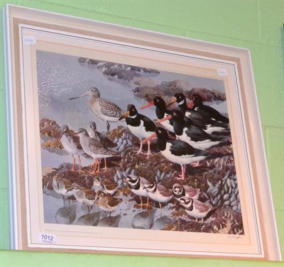 Lot 1012 - After C F Tunnicliffe, a limited edition print of Seabirch, 106/500, pencil, signed by artist