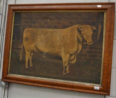 Lot 1218 - A 19th century naive oil study of a bull, maple frame