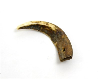 Lot 36 - A Japanese Jomon boar's tusk pendant for personal adornment, circa 1000-3000 BCE, of typical...