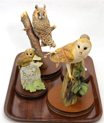 Lot 97 - Border Fine Arts Owl Models Including: 'Long-Eared Owl' (Style One), model No. RB20, 'Barn Owl'...