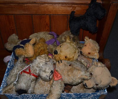 Lot 1002 - Assorted circa 1930's and later jointed teddy bears and two Scottie dogs (one box)