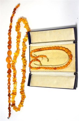 Lot 301 - A group of ";Egg Yolk"; colour amber bead necklaces